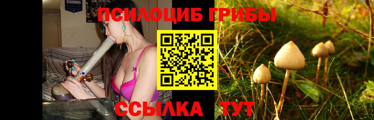 Псилоцибиновые грибы Magic Shrooms  Псилоцибиновые грибы Psilocybine cubensis  Вход с VPN  Мытищи 